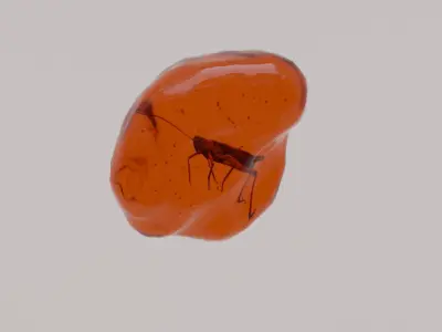 Insects in amber asset collection 3D model