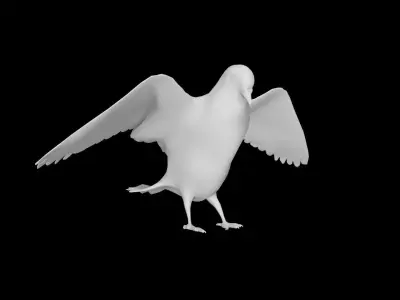 Low Poly Pigeon Low-poly 3D model