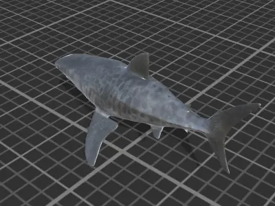 Tiger Shark Low-poly 3D model get