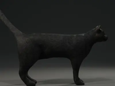 Black Cat Free low-poly 3D model