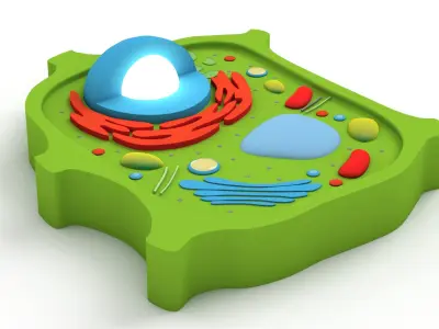 Plant Cell v4 3D model