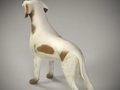 Realistic 3D Dog Model  3D model