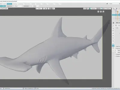 Hammerhead Shark 3D model order