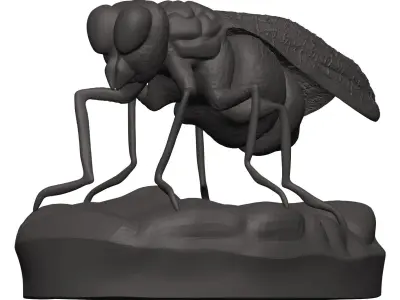 Fly-Fly fly 3D model