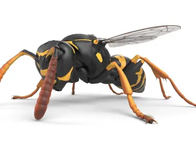 Wasp Low-poly 3D model