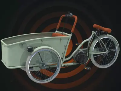 Electric Cargo Delivery Tricycle 3D model