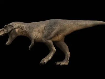 Tyrannosaurus Rex - Theropod Dinosaur Low-poly 3D model