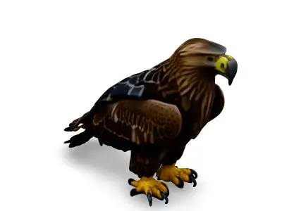 Realistic Golden Eagle 3D Model Low-poly 3D model