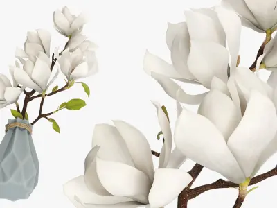 Magnolia Flower Branch in Faceted Vase White 3D model