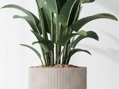 HQ Plants Bird Of ParadiseBird Vase Set01 3D model