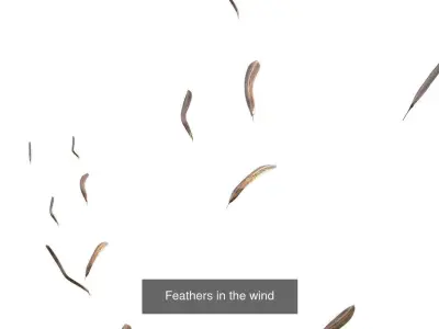 Feather collection 1 3D Model Pack