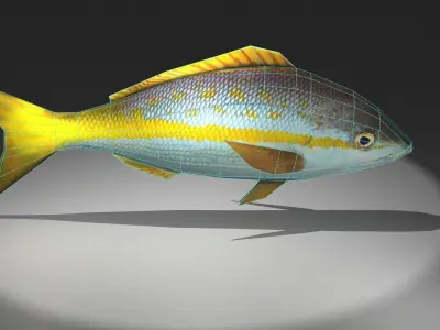 Yellowtail Snapper Low-poly 3D model