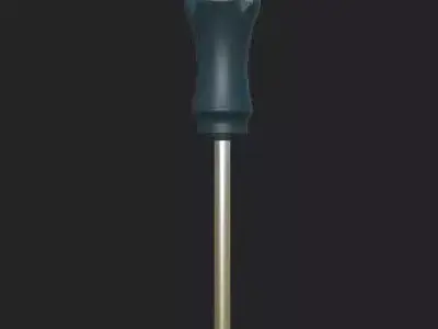 Flat Head Driver 3D model