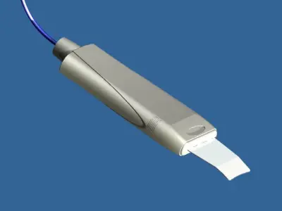 Mango peeling Free 3D model