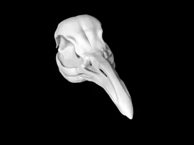 Penguin skull Low-poly 3D model