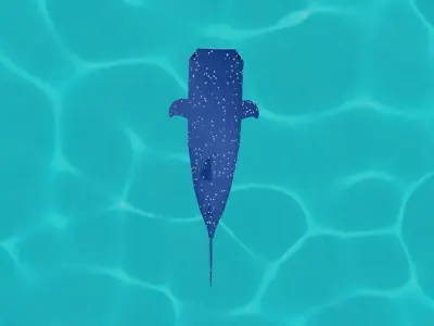 Low-poly Whale Shark Low-poly 3D model