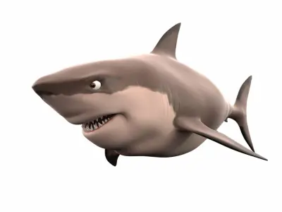 White Shark Toon 3D model