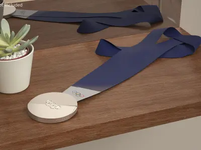 Official Olympic Silver Winner Medal Blue Strap 3D model