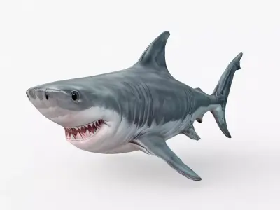 Shark Cartoons Low-poly 3D model