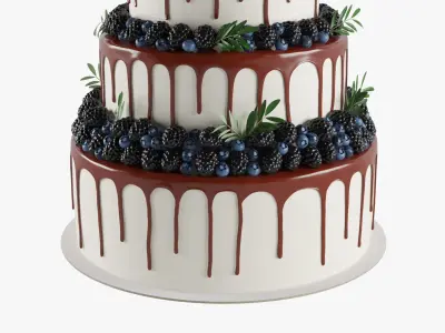  Wedding Berry Cake 02 