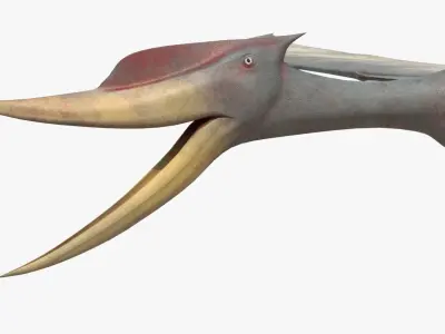 8K Realistic Pterodactyl Low-poly 3D model