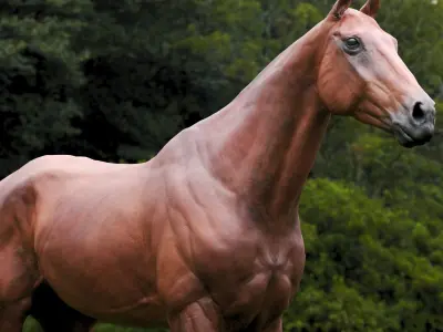  Horse Brown  purchase