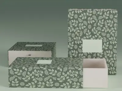  Premium Box package  3D model