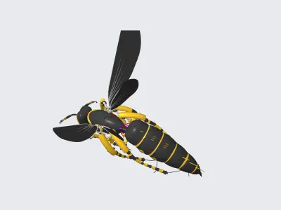 Wasp Robotic 3D model