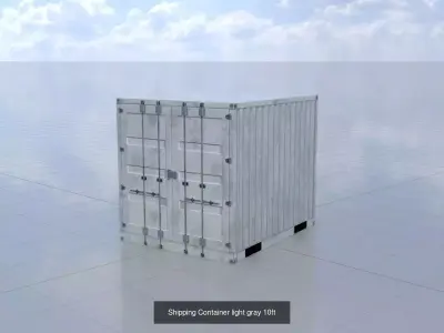 Shipping-Container light gray all versions  3D Model Pack