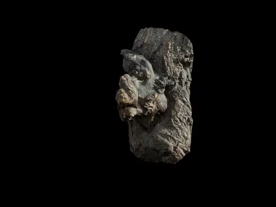 Anydrafts Salix matsudana Burl 01 Low-poly 3D model