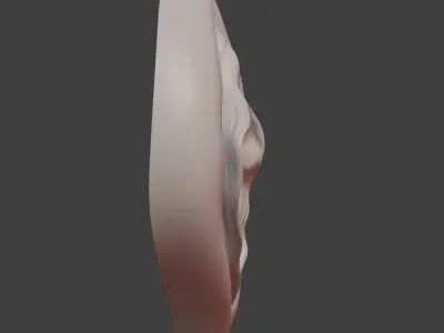Anatomically correct vulva 3D model