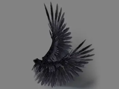  Bird Wings Rigged 