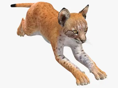 Lynx Cub in Jumping Pose 3D model