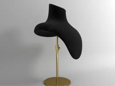 Neck Mannequin 3D model