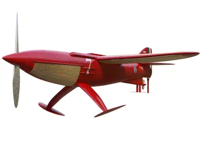 Piaggio P7 3D model