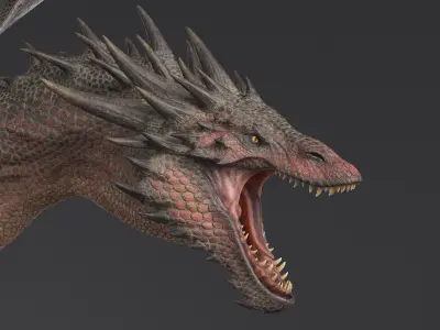 Dragon XO No Rig 3D model