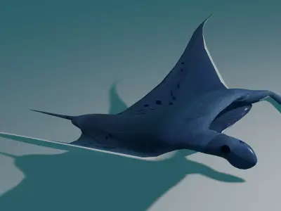 Manta Ray 3D model