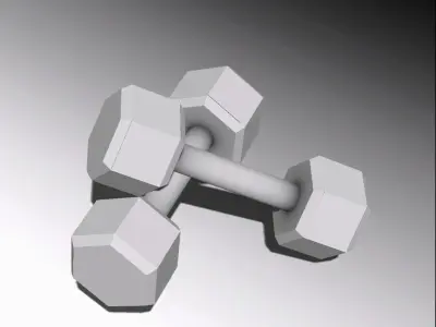 Dumbbells pair of Low-poly 3D model