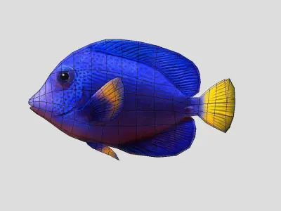 Purple Tang Realistic Animated Low-poly 3D model