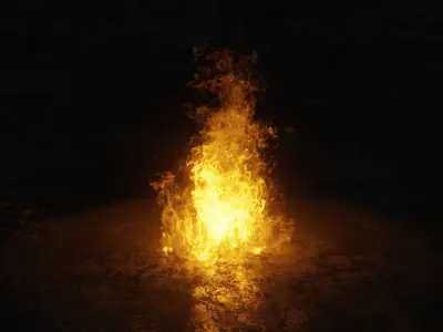 3D Bonefire fire 3D model