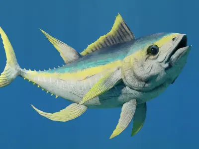 Tuna Fish Animated Free low-poly 3D model