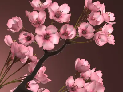 Somei Yoshino Sakura Cherry Blossom Branch Pink 3D model