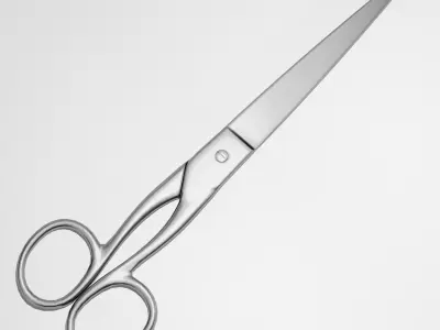 Scissors pair of 3D model 2