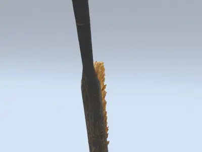 Brush High Poly with wooden handle 3D model