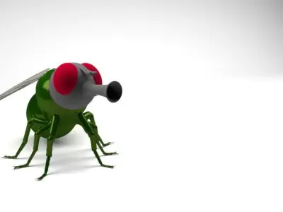 Fly - Insect - Mosca 3D model
