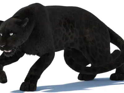  Rigged Black Panther Fur 