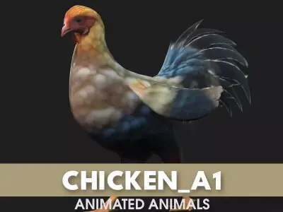 Chicken A1 3D model