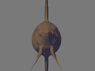 Betta Fish 3D model