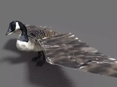 goose canadian with wings spread 3D model