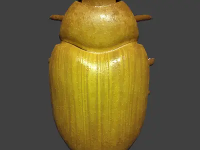 Bug 3D Rigged Model Low-poly 3D model